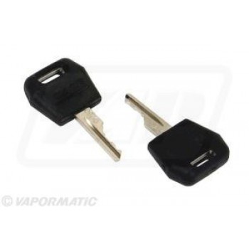 VPF3258 Ignition switch key (x2)